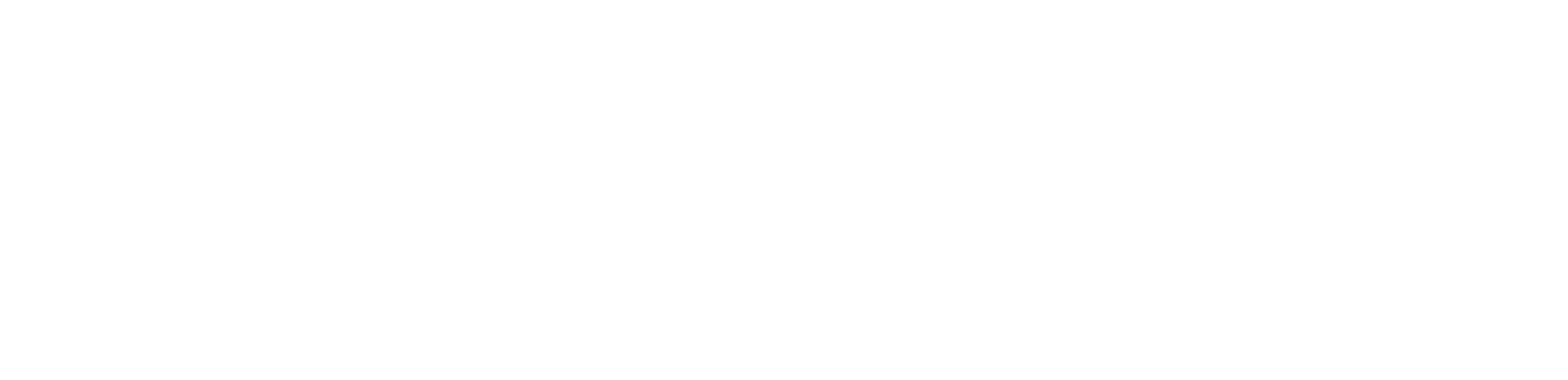 bodenfraestechnik.de